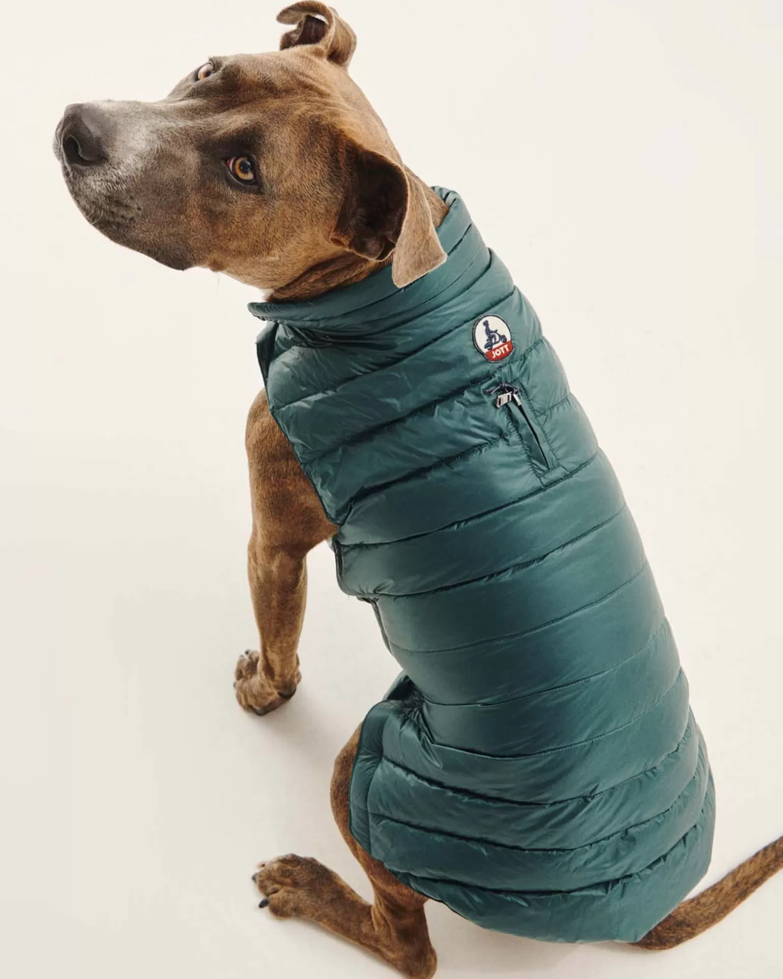 Doudounes Pour Chiens*JOTT Doudoune Pour Chien Vert Fonce Woop 203 Vert Fonce